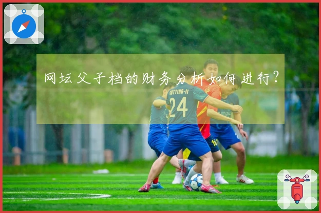 网坛父子档的财务分析如何进行？