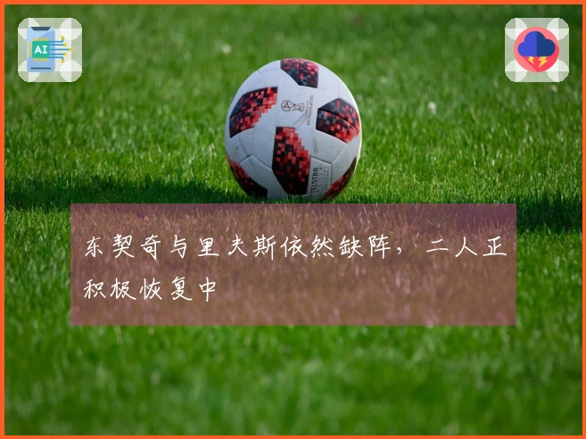 东契奇与里夫斯依然缺阵，二人正积极恢复中