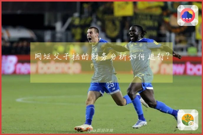 网坛父子档的财务分析如何进行？