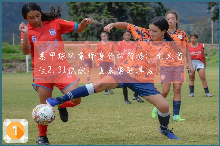 意甲球队前锋身价排行榜：尤文首位2.31亿欧，国米紧随其后